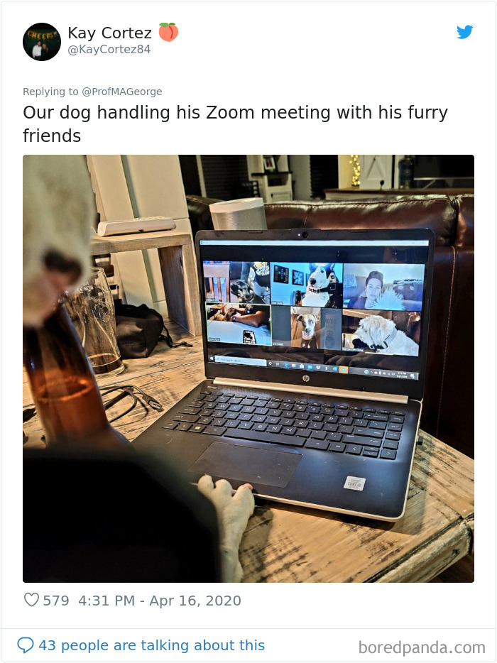 Students-Share-Photos-Pets-Doing-Class-Work