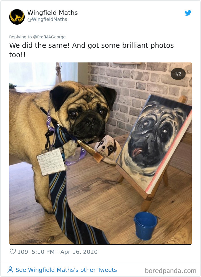 Students-Share-Photos-Pets-Doing-Class-Work