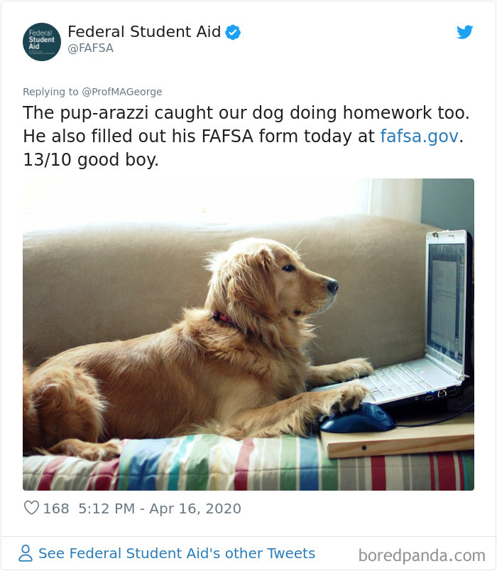 Students-Share-Photos-Pets-Doing-Class-Work