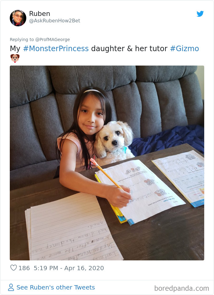 Students-Share-Photos-Pets-Doing-Class-Work