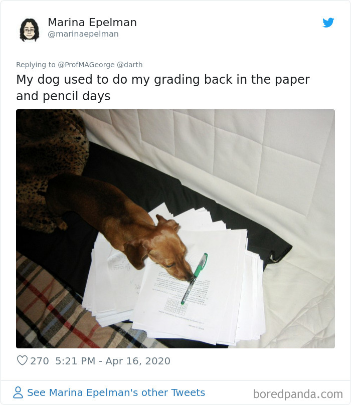 Students-Share-Photos-Pets-Doing-Class-Work