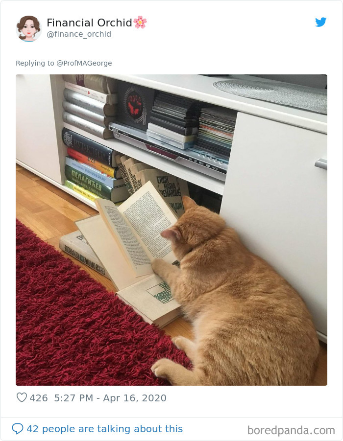 Students-Share-Photos-Pets-Doing-Class-Work