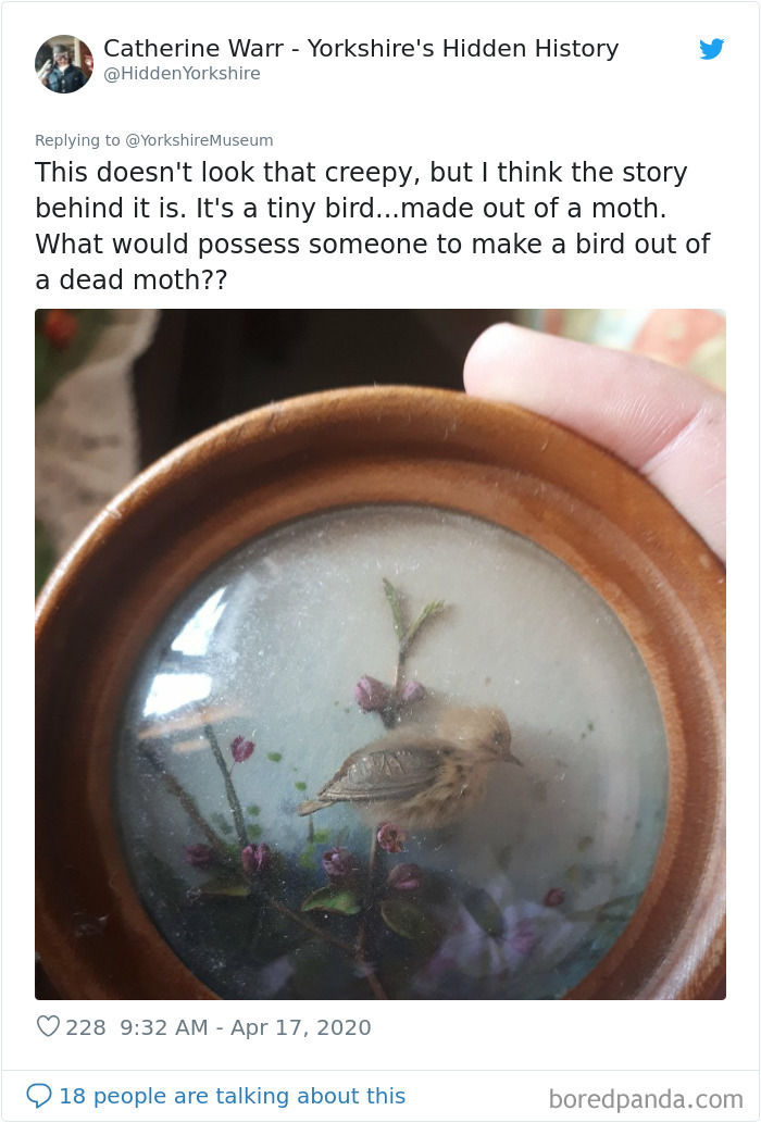 Creepiest-Objects-Curator-Battle-Yorkshire-Museum