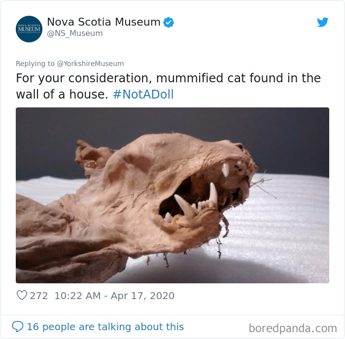 Creepiest-Objects-Curator-Battle-Yorkshire-Museum