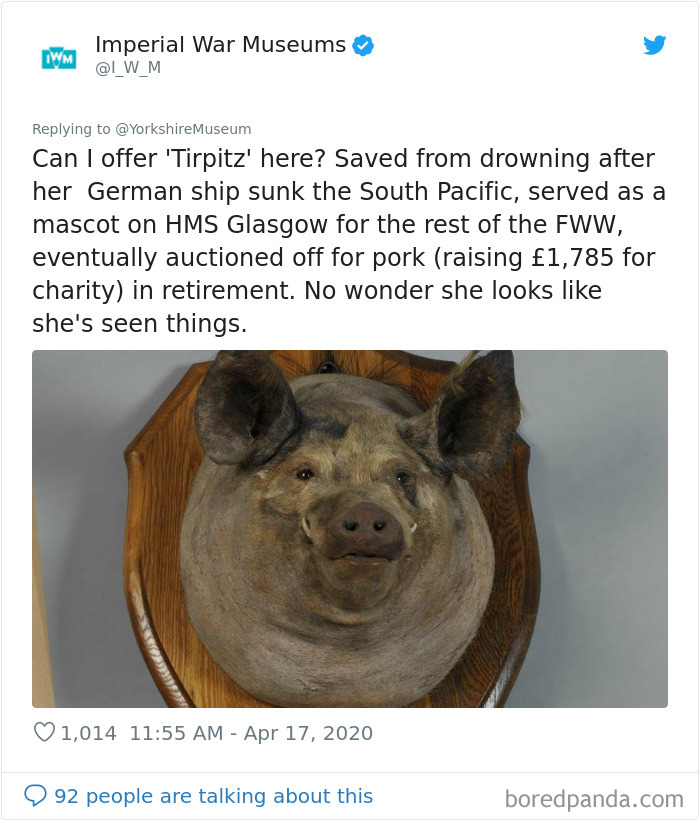 Creepiest-Objects-Curator-Battle-Yorkshire-Museum