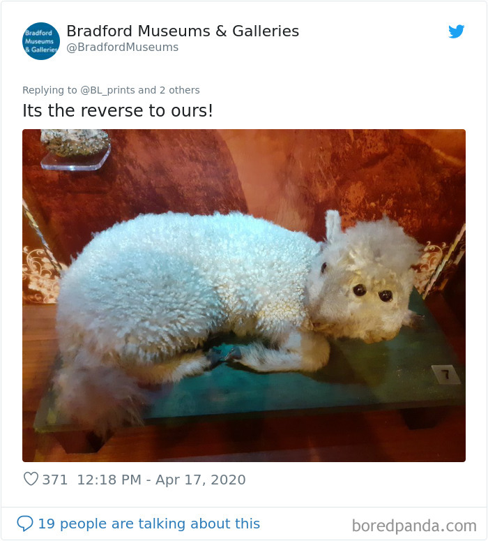 Creepiest-Objects-Curator-Battle-Yorkshire-Museum