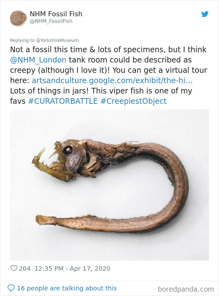 Creepiest-Objects-Curator-Battle-Yorkshire-Museum