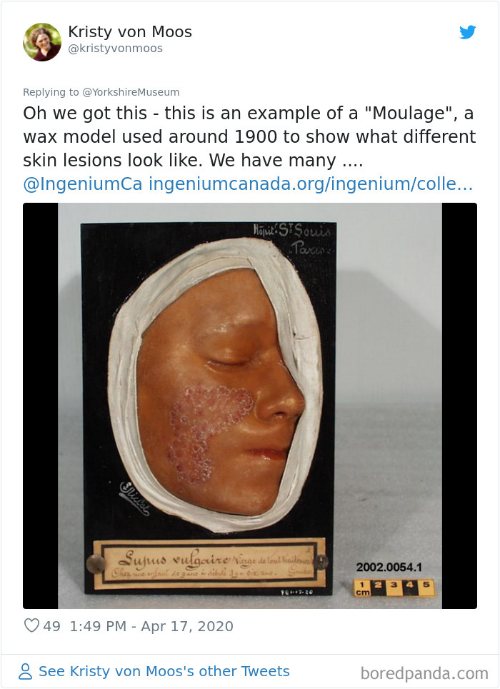 Creepiest-Objects-Curator-Battle-Yorkshire-Museum