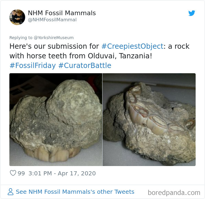 Creepiest-Objects-Curator-Battle-Yorkshire-Museum