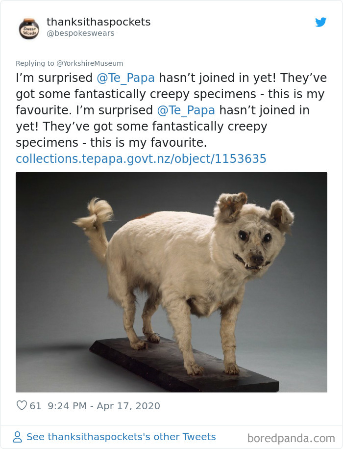 Creepiest-Objects-Curator-Battle-Yorkshire-Museum