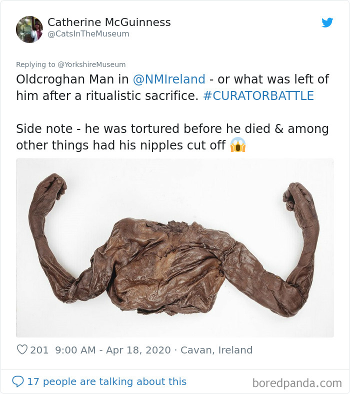 Creepiest-Objects-Curator-Battle-Yorkshire-Museum