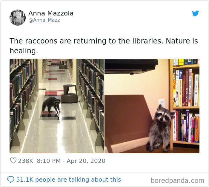 Funny-Coronavirus-Jokes