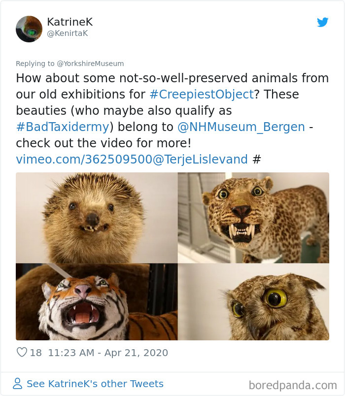 Creepiest-Objects-Curator-Battle-Yorkshire-Museum