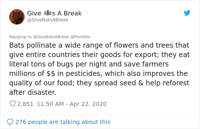 The Pope “Insults” Bats On Twitter, Gets Schooled By A Bat Expert The Pope “Insults” Bats On Twitter, Gets Schooled By A Bat Expert