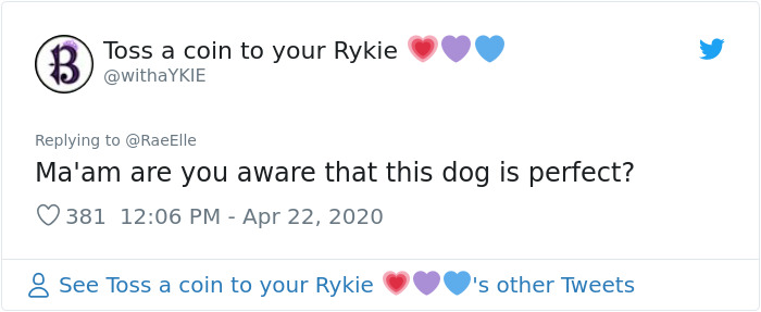 This Bulldog Named Big Poppa Is Sad Because He Can't Play With Kids Outside And People On The Internet Are Heartbroken This Bulldog Named Big Poppa Is Sad Because He Can't Play With Kids Outside And People On The Internet Are Heartbroken