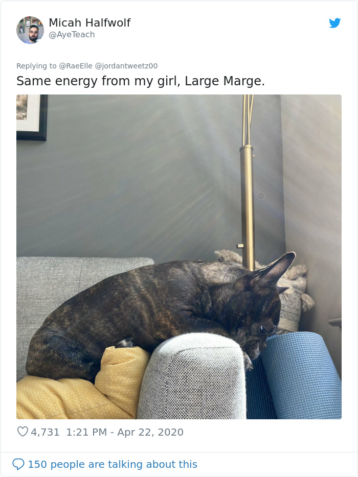 This Bulldog Named Big Poppa Is Sad Because He Can't Play With Kids Outside And People On The Internet Are Heartbroken This Bulldog Named Big Poppa Is Sad Because He Can't Play With Kids Outside And People On The Internet Are Heartbroken