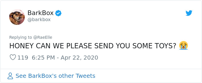 This Bulldog Named Big Poppa Is Sad Because He Can't Play With Kids Outside And People On The Internet Are Heartbroken