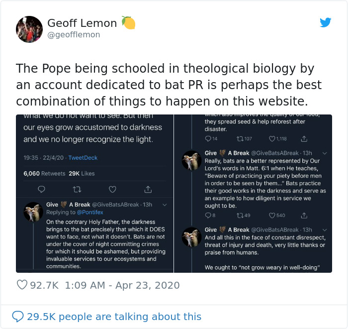 The Pope “Insults” Bats On Twitter, Gets Schooled By A Bat Expert The Pope “Insults” Bats On Twitter, Gets Schooled By A Bat Expert