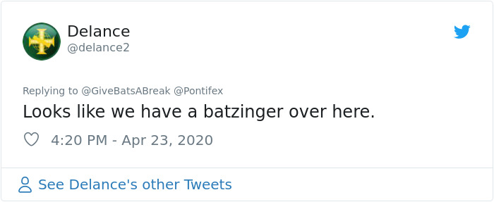 The Pope “Insults” Bats On Twitter, Gets Schooled By A Bat Expert The Pope “Insults” Bats On Twitter, Gets Schooled By A Bat Expert