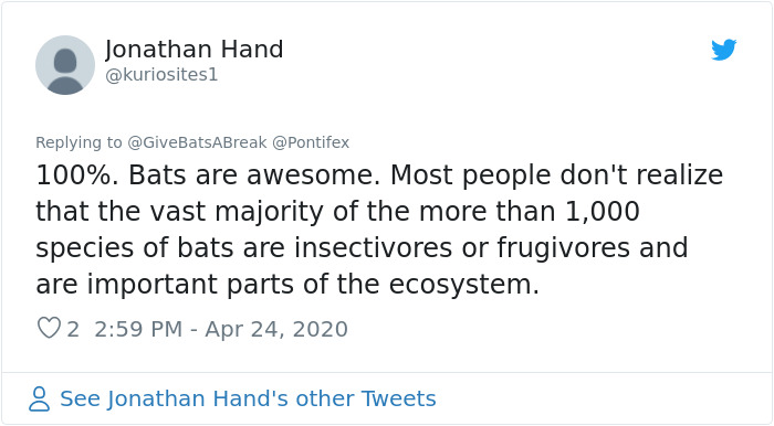The Pope “Insults” Bats On Twitter, Gets Schooled By A Bat Expert The Pope “Insults” Bats On Twitter, Gets Schooled By A Bat Expert