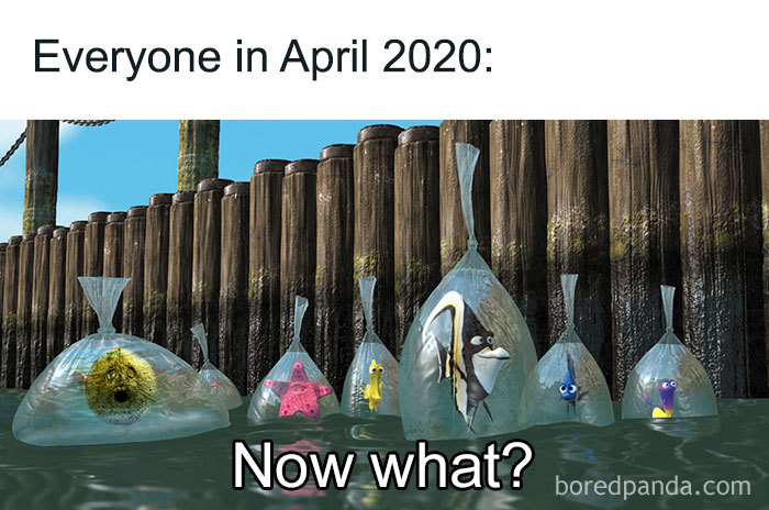 Coronavirus-Quarantine-Funny-Jokes