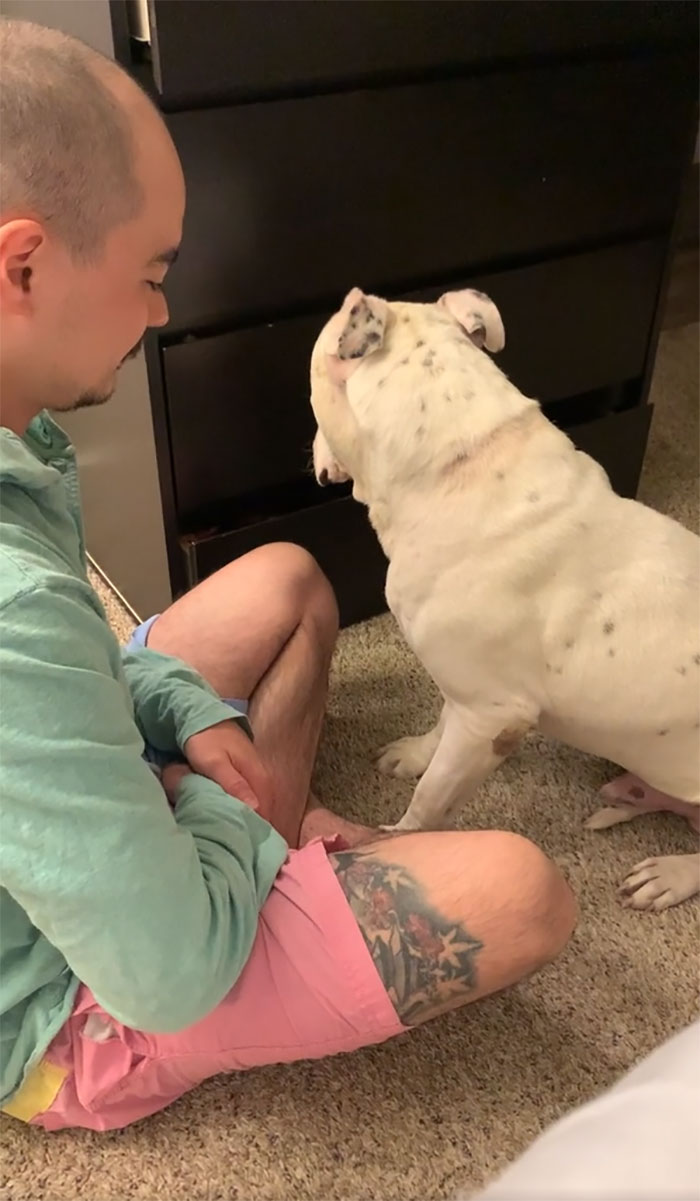 Timid Pup Comes Up With A Super Cute Way To Ask His Foster Parents For More Scratchies And Love