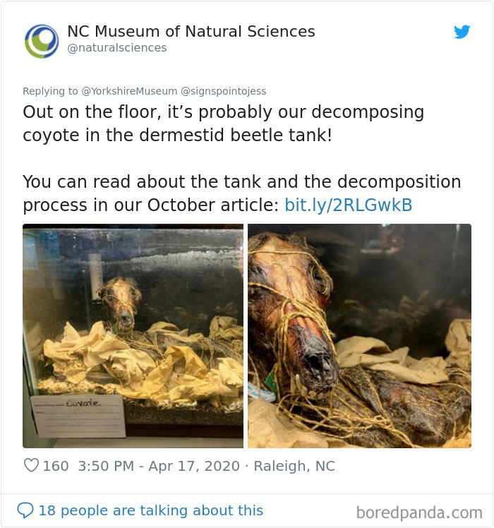 Creepiest-Objects-Curator-Battle-Yorkshire-Museum