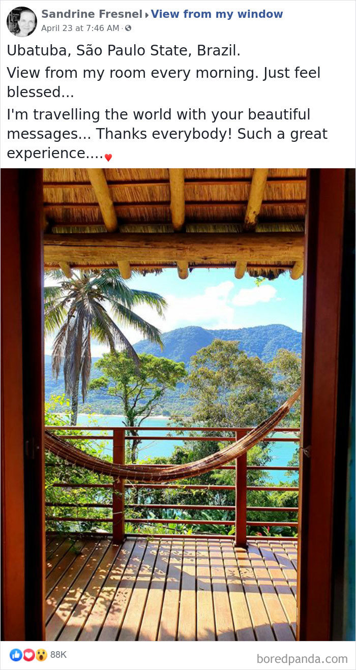 Out of view. Бали вид из окна. Отель на Бали вид из окна. Окно в джунгли. Вид из окна на океан Бали.