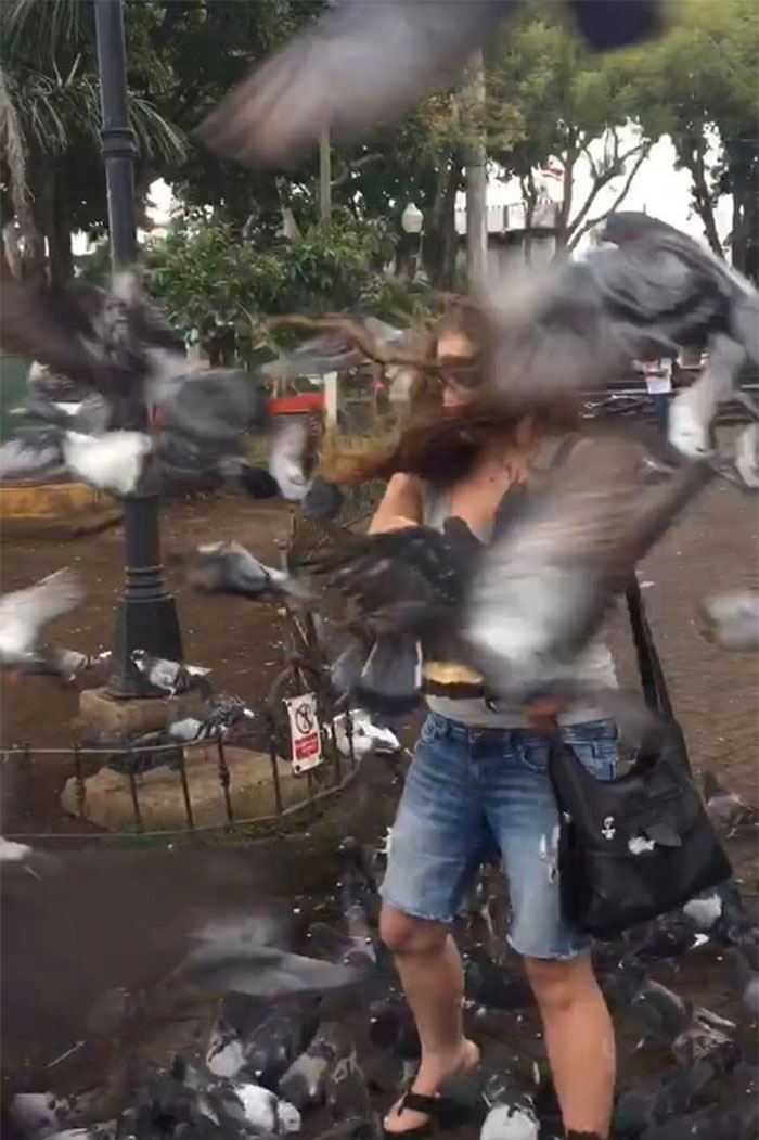 Thankfully No Real Crap Was Involved In Obtaining This Photo!