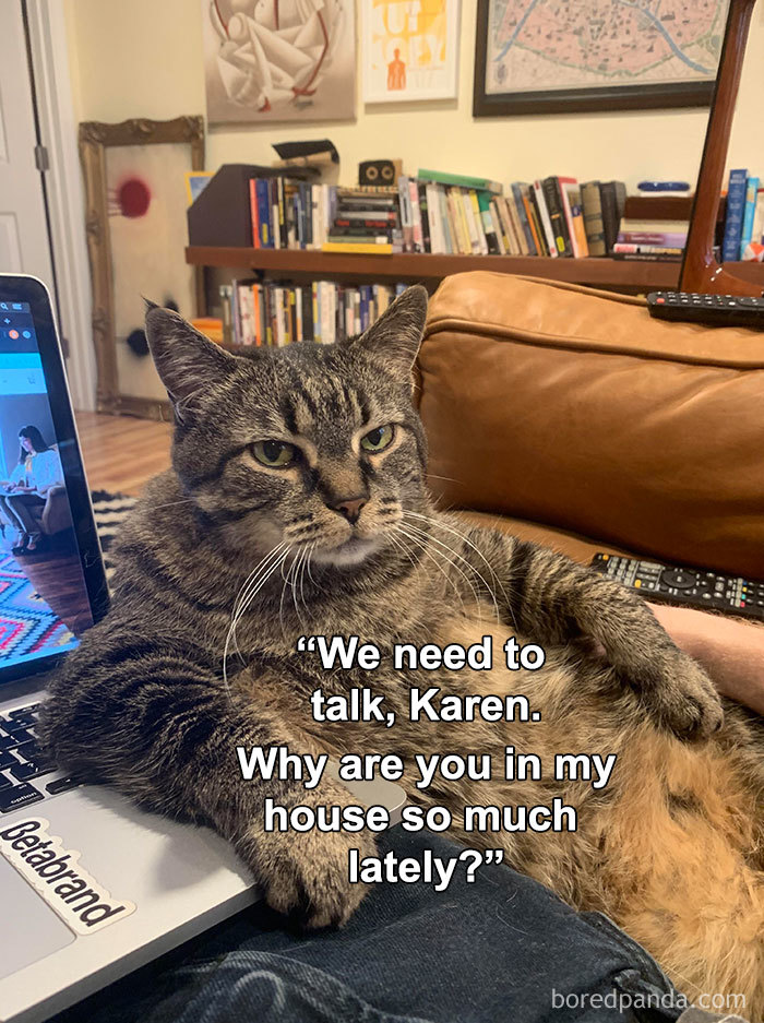 Coronavirus-Quarantine-Funny-Jokes