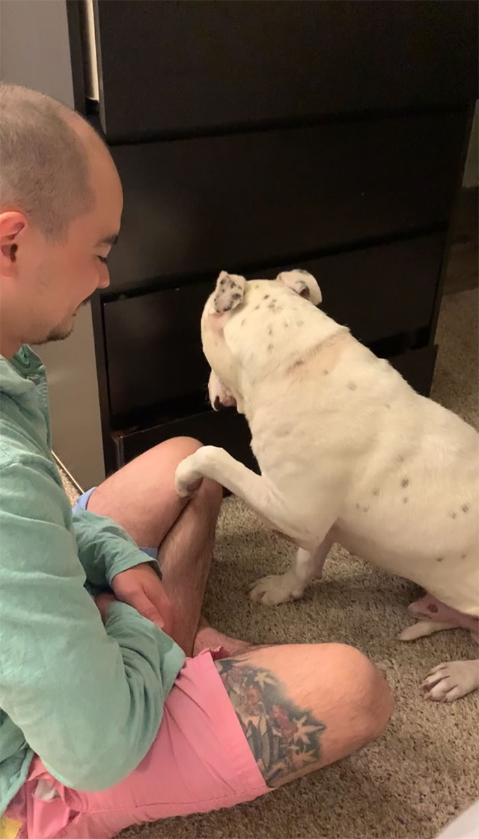 Timid Pup Comes Up With A Super Cute Way To Ask His Foster Parents For More Scratchies And Love Timid Pup Comes Up With A Super Cute Way To Ask His Foster Parents For More Scratchies And Love