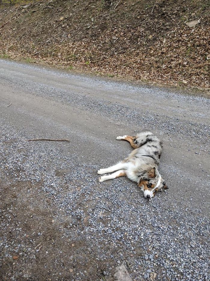 “I Don’t Think She Knows”: Covid-19 Ruins Guy’s Surprise Iceland-Engagement Plans, So He Decides To Make New Ones “I Don’t Think She Knows”: Covid-19 Ruins Guy’s Surprise Iceland-Engagement Plans, So He Decides To Make New Ones