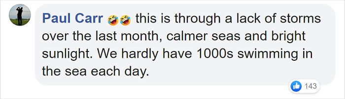 Murky Waters Around British Coastline Are Turning Tropical During Lockdown