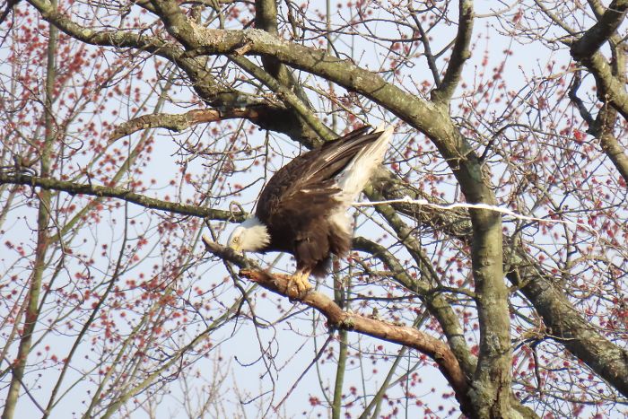 Best Crap Shot I've Taken!