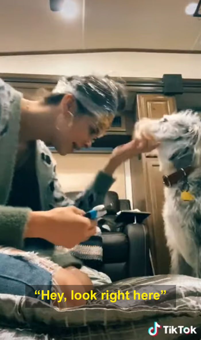 This Woman Found A Brilliant Hack For Clipping Your Dog's Nails