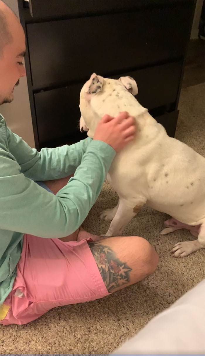 Timid Pup Comes Up With A Super Cute Way To Ask His Foster Parents For More Scratchies And Love