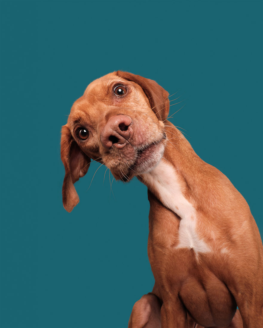 Be Happy For Finley's Sake