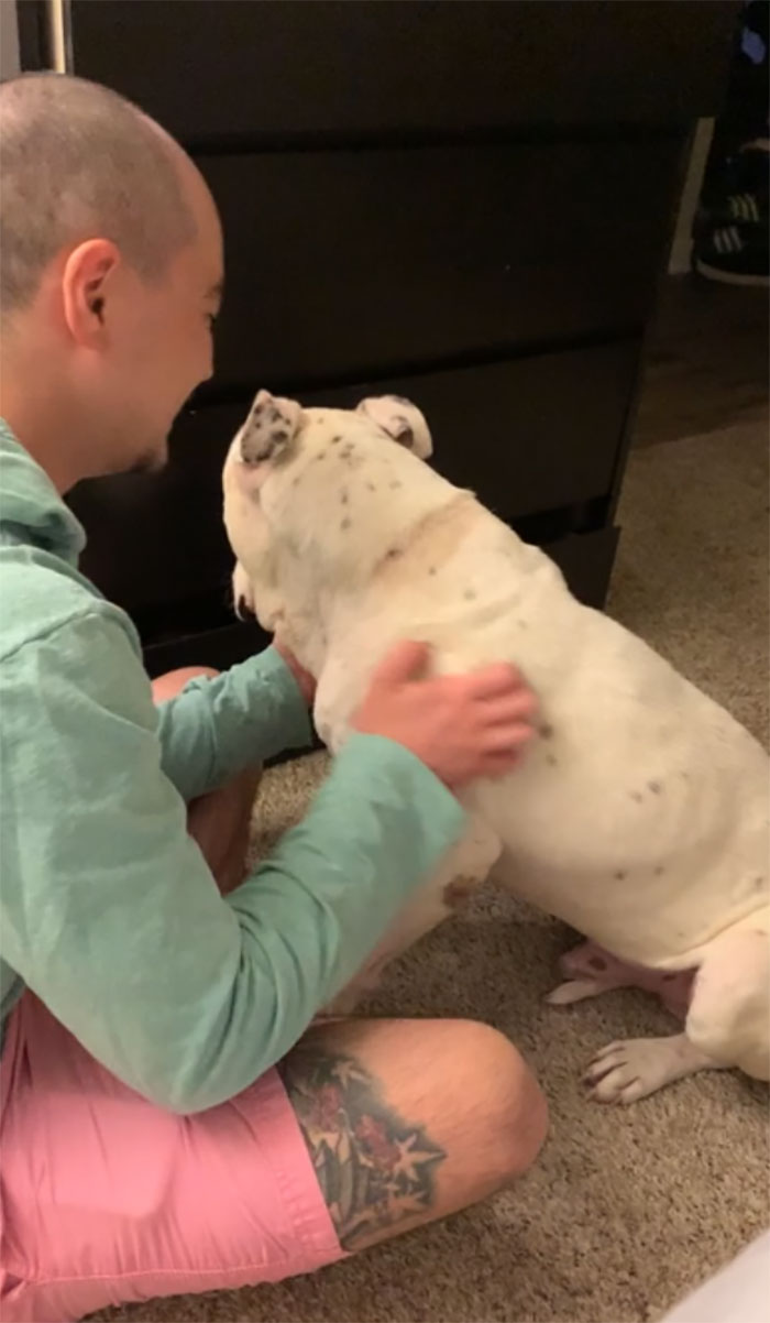 Timid Pup Comes Up With A Super Cute Way To Ask His Foster Parents For More Scratchies And Love Timid Pup Comes Up With A Super Cute Way To Ask His Foster Parents For More Scratchies And Love