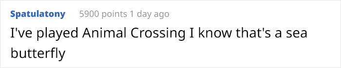 &ldquo;This Isn&rsquo;t CGI&rdquo;: Video Of A Real-Life Creature Known As A Sea Angel Hovering Under Ice In The White Sea Goes Viral