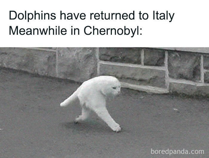 Coronavirus-Quarantine-Funny-Jokes