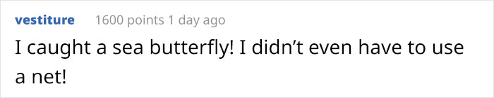 &ldquo;This Isn&rsquo;t CGI&rdquo;: Video Of A Real-Life Creature Known As A Sea Angel Hovering Under Ice In The White Sea Goes Viral