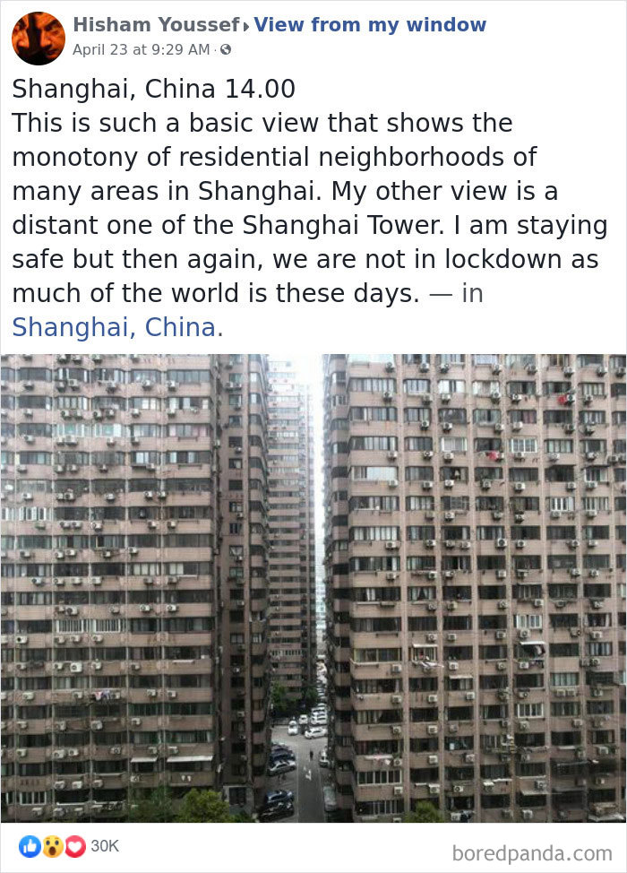 Outside-My-Window-Pics