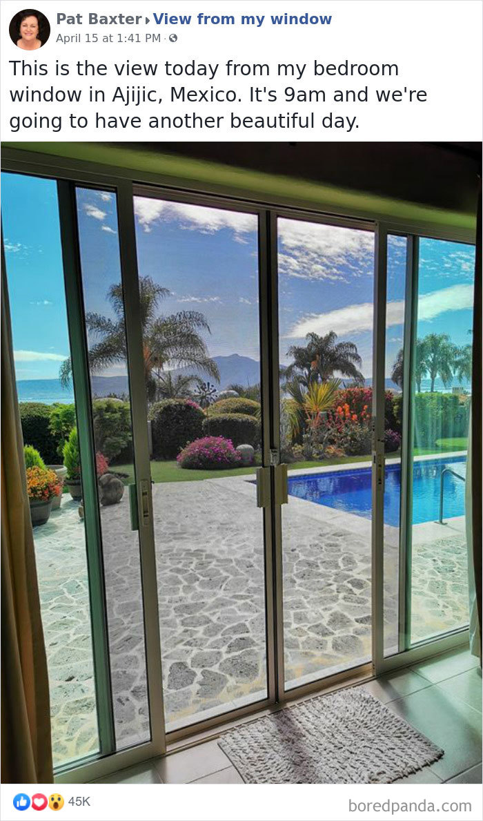 Outside-My-Window-Pics