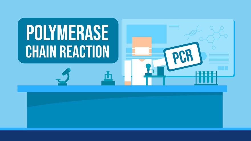 I Made An Animation That Explains How Different Coronavirus Tests Work (For The Non-Techies Out There) I Made An Animation That Explains How Different Coronavirus Tests Work (For The Non-Techies Out There)