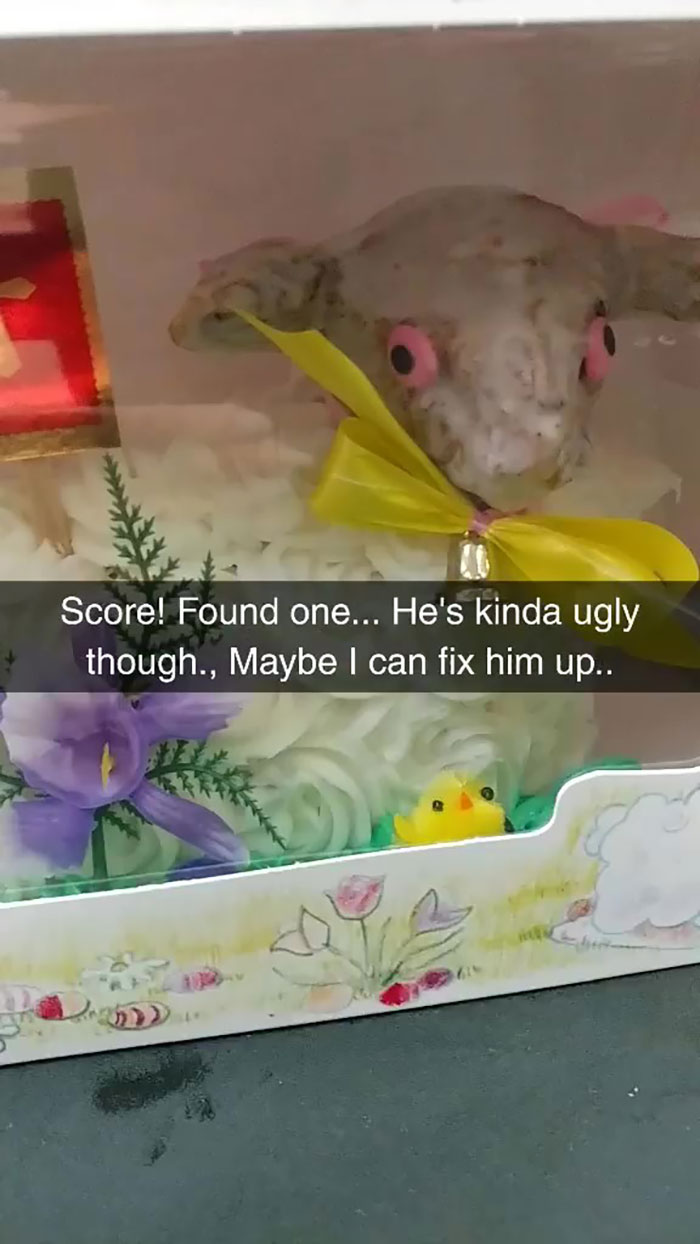 Woman Buys Ugly Lamb Cake And Decides To Fix It, Ruins Easter In The Process Woman Buys Ugly Lamb Cake And Decides To Fix It, Ruins Easter In The Process