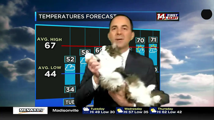 This Weatherman Starts Working From Home, Goes Viral After Cat Joins His Broadcast