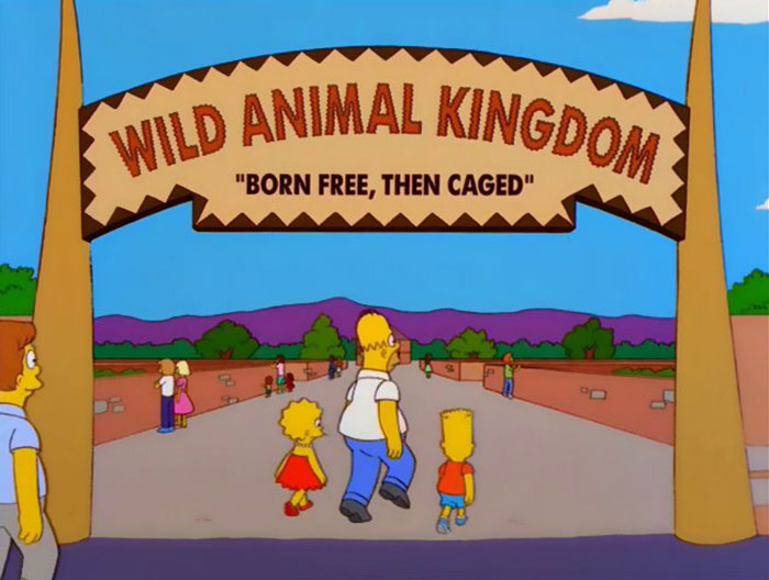 Scene from The Simpsons showing a witty sign at Wild Animal Kingdom reading born free then caged.