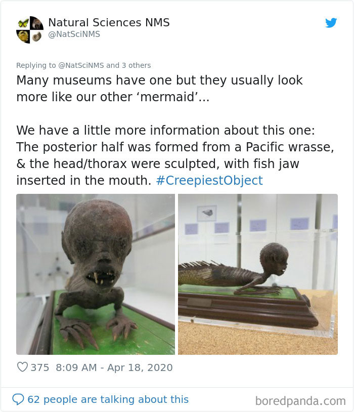 Creepiest-Objects-Curator-Battle-Yorkshire-Museum