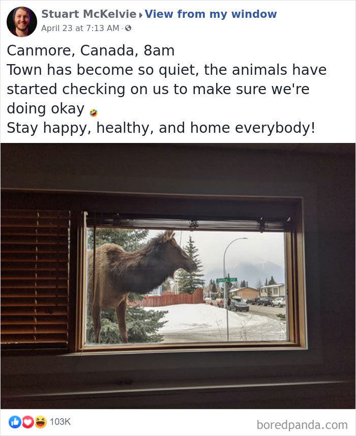 Outside-My-Window-Pics