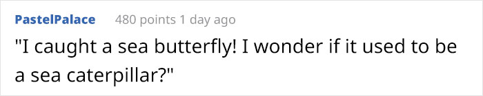 “This Isn’t CGI”: Video Of A Real-Life Creature Known As A Sea Angel Hovering Under Ice In The White Sea Goes Viral “This Isn’t CGI”: Video Of A Real-Life Creature Known As A Sea Angel Hovering Under Ice In The White Sea Goes Viral